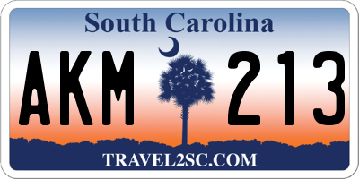 SC license plate AKM213