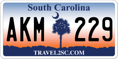 SC license plate AKM229