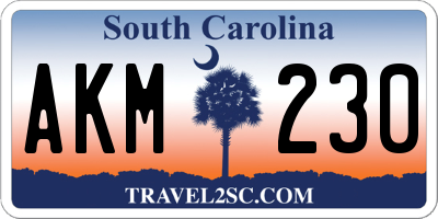 SC license plate AKM230