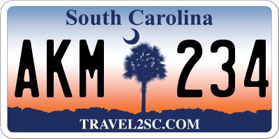 SC license plate AKM234