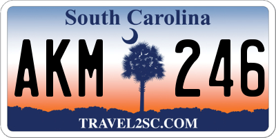 SC license plate AKM246