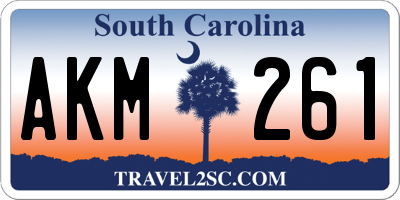 SC license plate AKM261