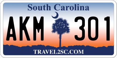 SC license plate AKM301
