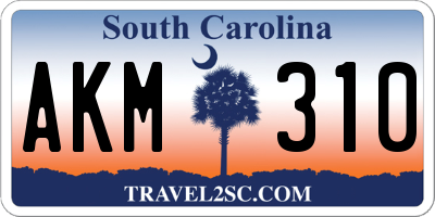 SC license plate AKM310