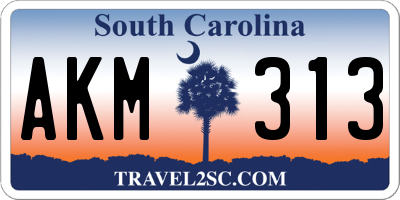 SC license plate AKM313