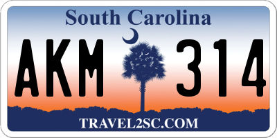 SC license plate AKM314