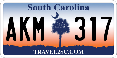 SC license plate AKM317