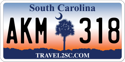 SC license plate AKM318