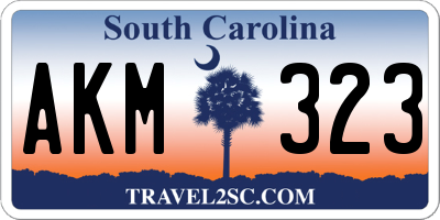 SC license plate AKM323