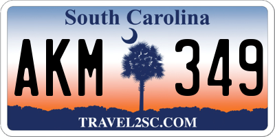 SC license plate AKM349