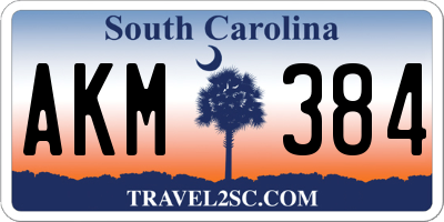 SC license plate AKM384