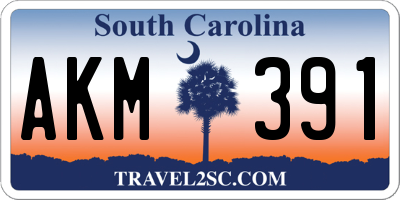 SC license plate AKM391