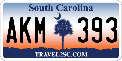 SC license plate AKM393