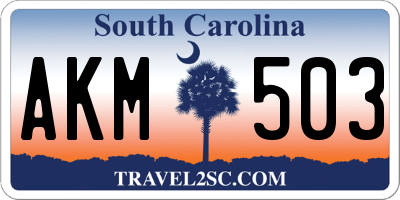 SC license plate AKM503