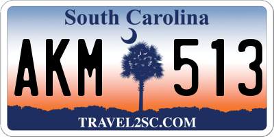 SC license plate AKM513