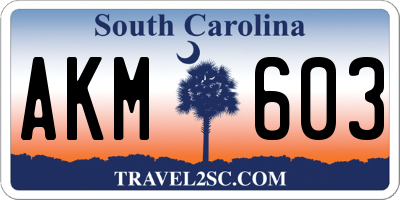 SC license plate AKM603