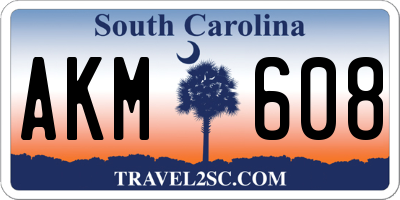 SC license plate AKM608