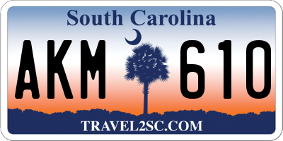 SC license plate AKM610