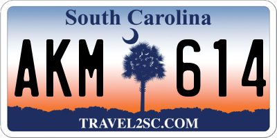SC license plate AKM614