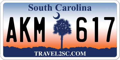 SC license plate AKM617