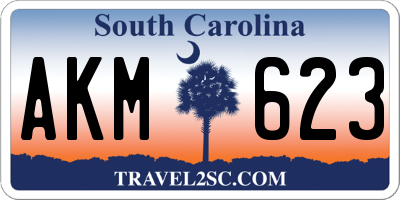 SC license plate AKM623