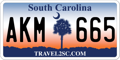 SC license plate AKM665