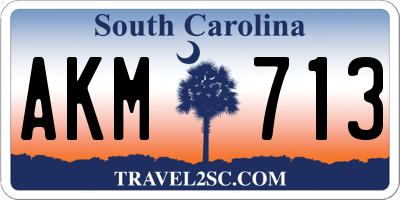 SC license plate AKM713