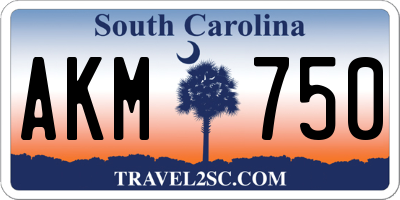 SC license plate AKM750