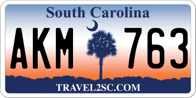 SC license plate AKM763