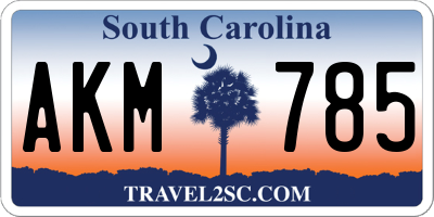 SC license plate AKM785