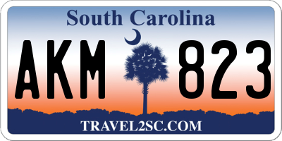 SC license plate AKM823