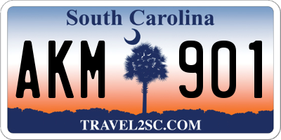 SC license plate AKM901
