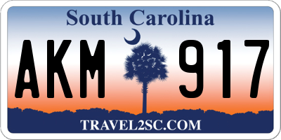 SC license plate AKM917