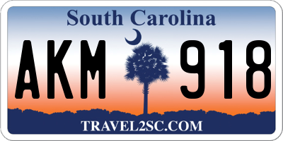 SC license plate AKM918