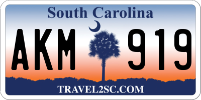 SC license plate AKM919
