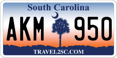 SC license plate AKM950