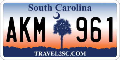 SC license plate AKM961