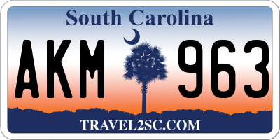 SC license plate AKM963