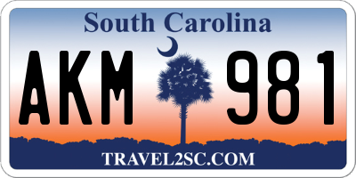 SC license plate AKM981