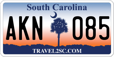 SC license plate AKN085