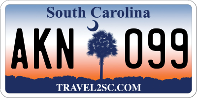 SC license plate AKN099