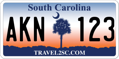 SC license plate AKN123