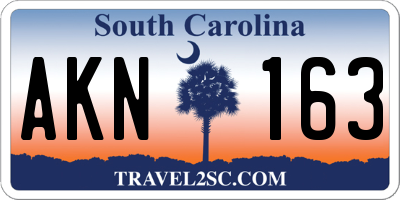 SC license plate AKN163