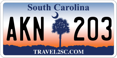 SC license plate AKN203