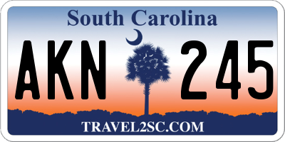 SC license plate AKN245