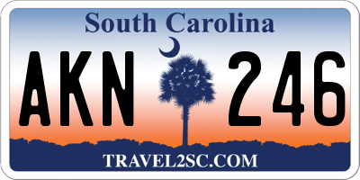 SC license plate AKN246