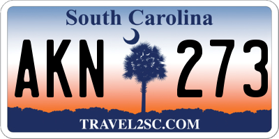SC license plate AKN273