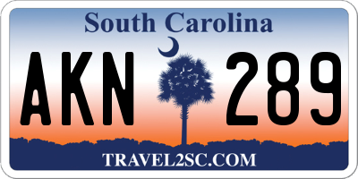 SC license plate AKN289
