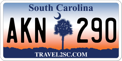 SC license plate AKN290
