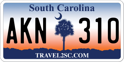 SC license plate AKN310